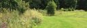 Gras