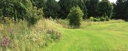 Gras